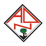 AD Nogueirense team flag