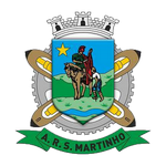 AR São Martinho team flag