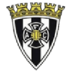 Amarante team flag