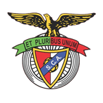 Angrense team flag
