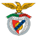 Benfica Castelo Branco team flag