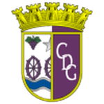 Gouveia team flag