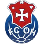Oliveira Hospital team flag