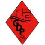 Peniche team flag
