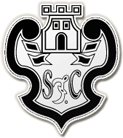 Silves flag