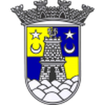 Sintrense team flag