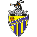 Valadares Gaia team flag