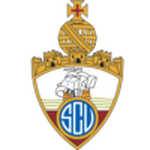 Vianense team flag