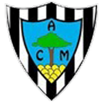 Marinhense team flag