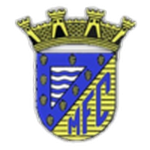 Mortágua team flag