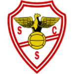 Salgueiros team flag