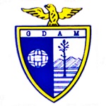 Águias do Moradal team flag