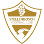 Stellenbosch team flag