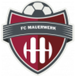 Mauerwerk team flag