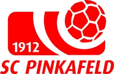 Pinkafeld team flag