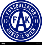 Völkermarkt team flag