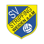 Stripfing team flag