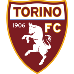 Torino team flag