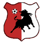 Bonyhád Völgység team flag