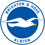 Brighton team flag