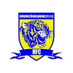 Hódmezővásárhely team flag