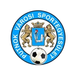 Putnok VSE team flag