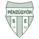 Pénzügyőr team flag