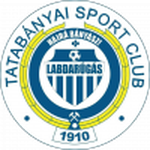 Tatabánya team flag