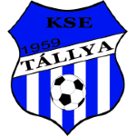 Tállya team flag