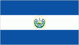 El Salvador team flag