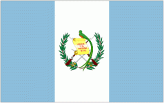 Guatemala team flag