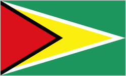 Guyana team flag