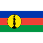 New Caledonia team flag