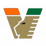 Venezia team flag