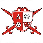 Abia Warriors team flag