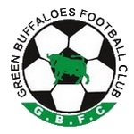 Green Buffaloes team flag