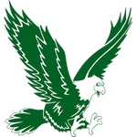Green Eagles team flag