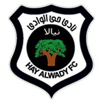 Hay Al Wadi team flag