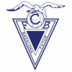 Badalona team flag
