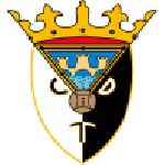 Tudelano team flag