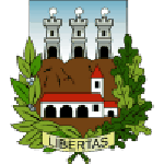 Libertas team flag