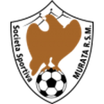 Murata team flag