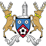Ards team flag