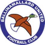 Ballinamallard United team flag