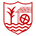 Ballyclare Comrades team flag