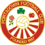 Portadown team flag