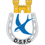 Dungannon Swifts team flag