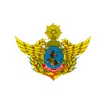 National Defense team flag