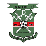 BDF XI team flag