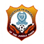 Police XI team flag